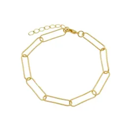 PULSEIRA ELOS SAMAMBAIA BANHADA A OURO