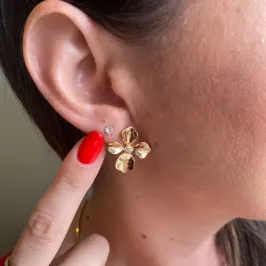 BRINCO FLOR COM ZIRCONIAS  - PARIS