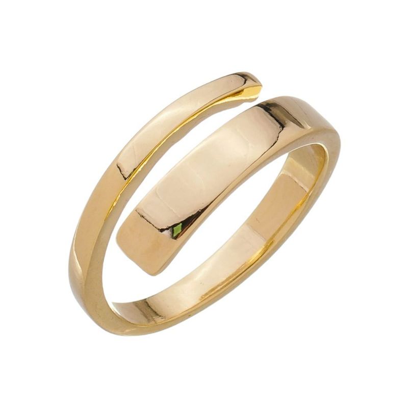 Anel Duas Hastes Liso Essencial Banhado Em Ouro 18k