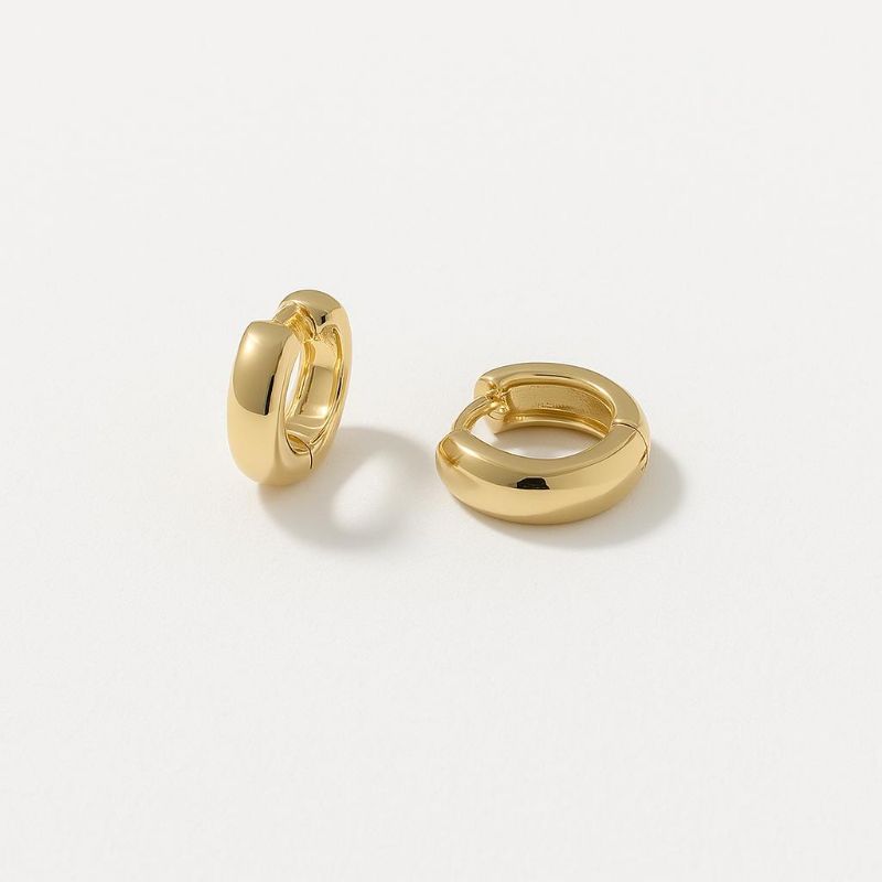 Brinco Argola Lisa Prime Banhado Em Ouro